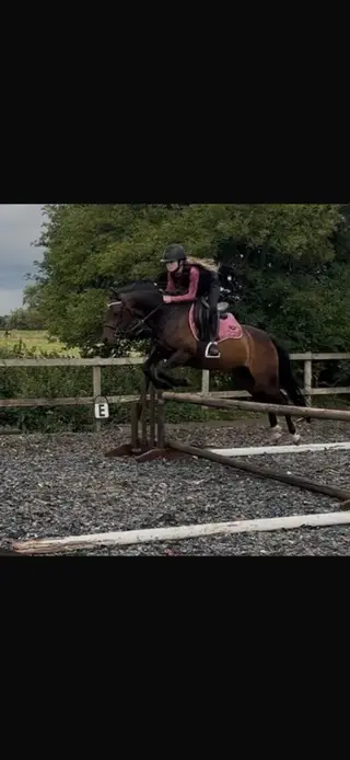 Super Schoolmaster 