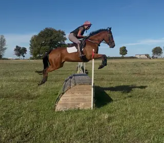 Allrounder fun mare. 