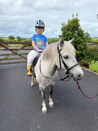 Handsome Dartmoor- PC Activities & All-Round Fun