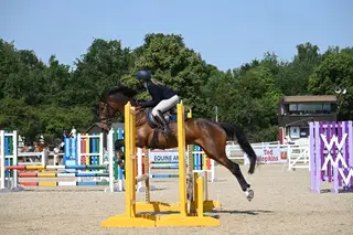 Just Seb