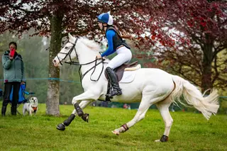Ultimate confidence-giving allrounder