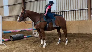 Experienced allrounder