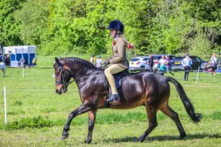 Much Loved Amazing Pony 