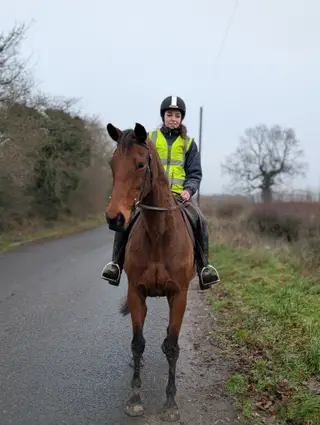 Sky - Pretty bay Mare