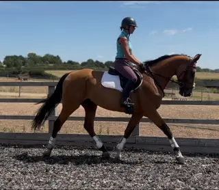 Promising Event mare