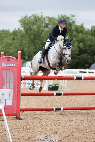 Gelding by Moores Clover