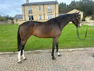 Darcey - Eye catching youngster