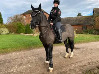14.2 Welsh D Mare. Super safe
