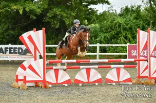 Superstar pony who does everything! 