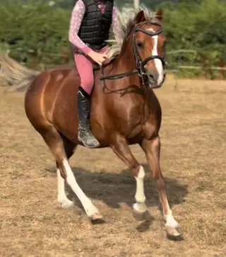 Advert photo