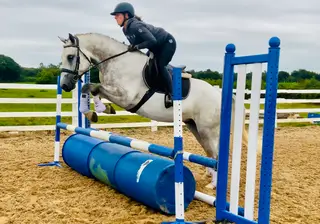 Sam - Lovely Traditional XL Connemara!