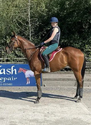 TB ROR All-rounder fun horse event hack 