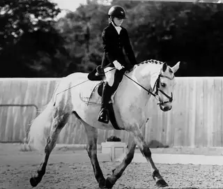 Talented Connemara Mare – Dressage & Jumping