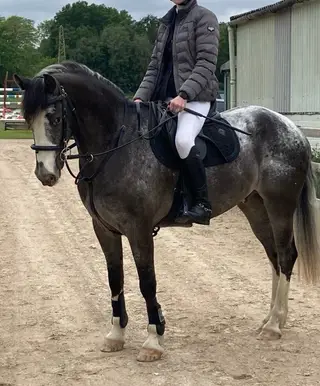 146 10 YR OLD JC SCHOOLMASTER