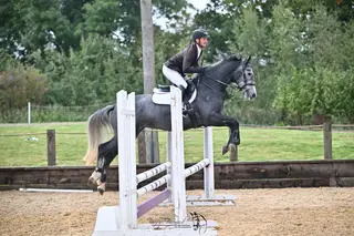 Athletic Shannodale Youngster- Scope, Brains & Kind Nature
