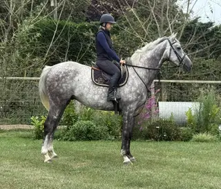 Super Fun & Handsome All-Rounder