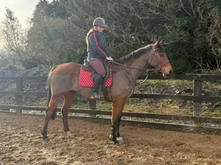 Beautiful all rounder