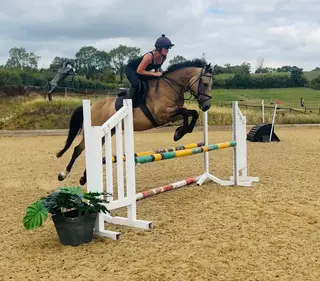 One of a kind mare 