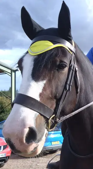 Introducing the stunning Bromford Beauty