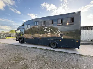 4 horse EU certified