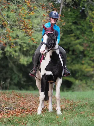 Super fun All-rounder