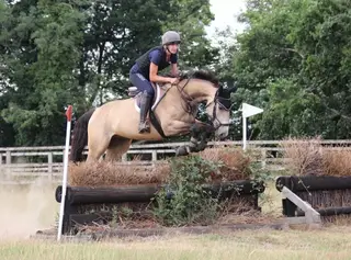 DUN TIH GELDING 5 YEARS BY WOODSTOCK HERO