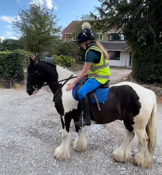 Exciting young pony 