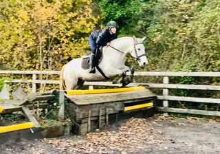 Kate - a truly special mare! A mothers dream!