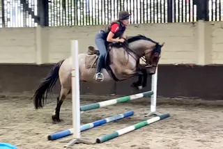 Lovely Fun Allrounder