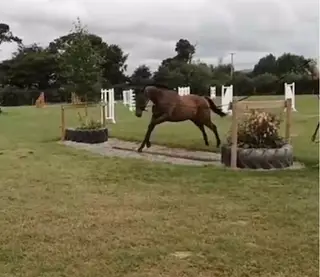 Superb Irish Event Prospect – Exceptional Value