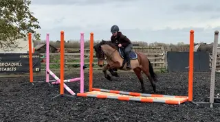 The Dream Family Pony- REX