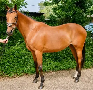 Exciting future / All rounder