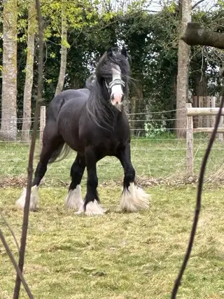 An absolute gentleman in every way! 