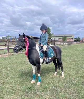 Beautiful piebald mare
