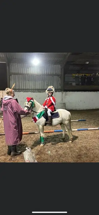 Fantastic PC pony