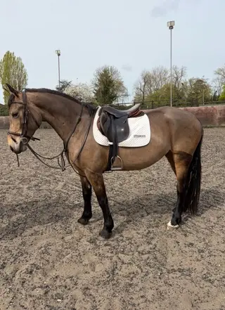 very special pony!