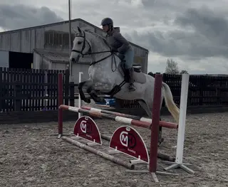 Super versatile Connie X 