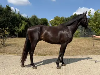 Super future prospect