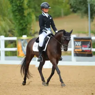 TALENTED CHILDS DRESSAGE PONY 