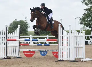 Talented & Striking 6YO by Arko