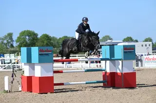 GENUINE JA SHOWJUMPER /SCHOOLMASTER