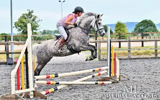 Quality Sports Pony with Fabulous Temprement