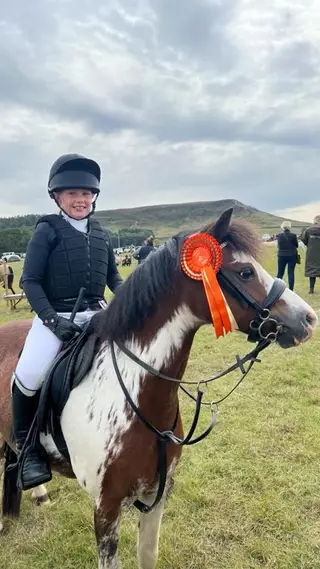 12hh 2nd Pony