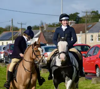 Pretty 12h reg section a gelding