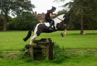 Super smart Sports Cob 