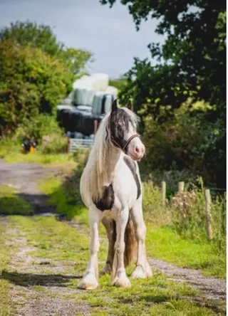 Advert photo