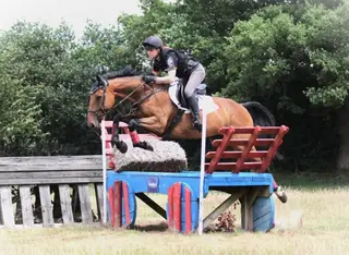 Gorgeous 15.3hh, Irish Sports Horse, Mare