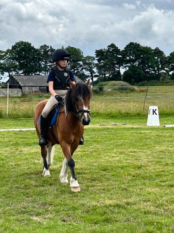 Pony for Sale Lead Rein/Second Pony