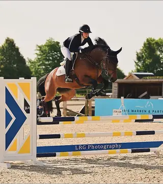 6yr old mare with top showjumping breeding 