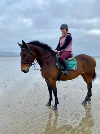 Safe Hobby Horse